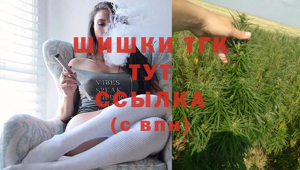 гашик Белоозёрский