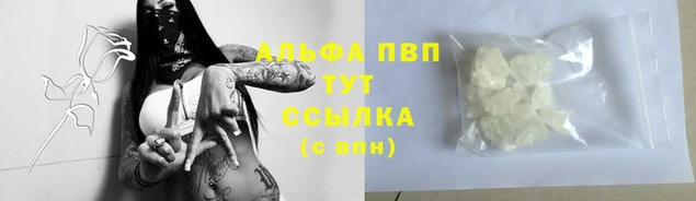 прущие крисы Белокуриха