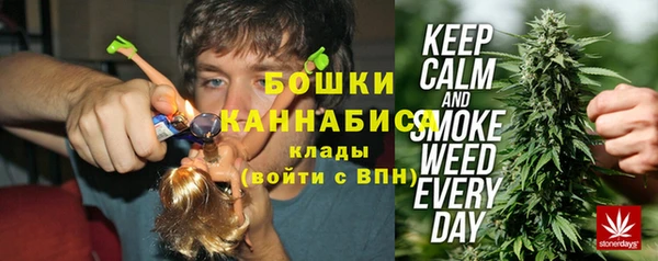 прущие крисы Белокуриха